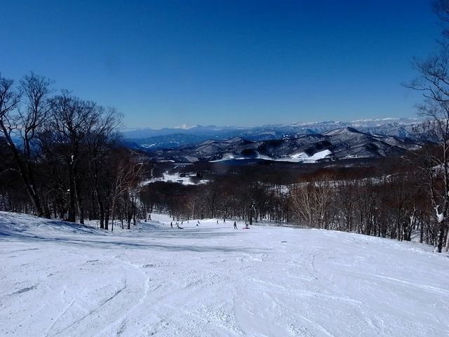 e0007544_1402131.jpg
