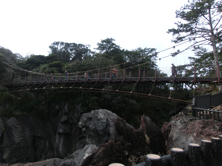 e0096346_1053215.jpg