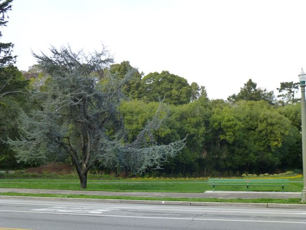 c0245349_3151634.jpg
