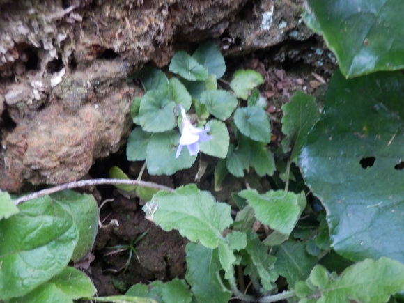 e0292172_2056780.jpg