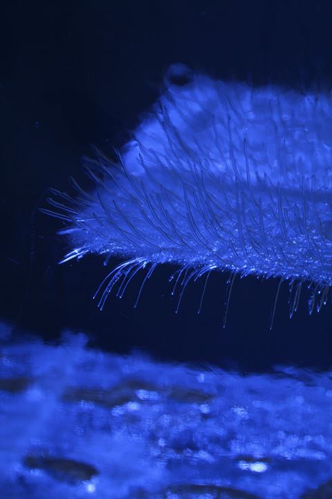 e0326479_20244786.jpg