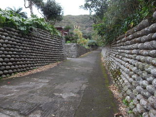 a0137192_21155056.jpg