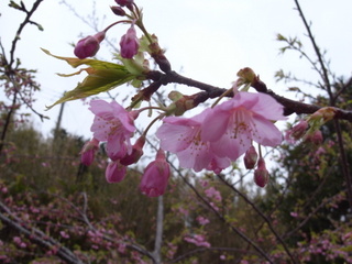a0137192_22175074.jpg