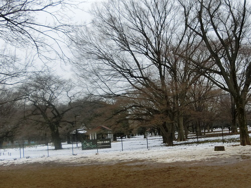 a0319693_9104952.jpg