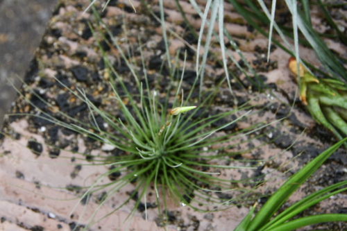 d0158028_16550066.jpg