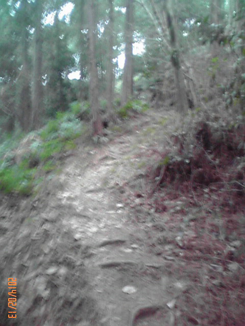 b0222530_16343522.jpg