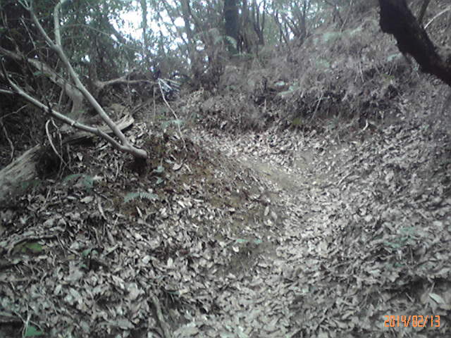 b0222530_1638482.jpg