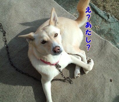 f0195543_22184370.jpg