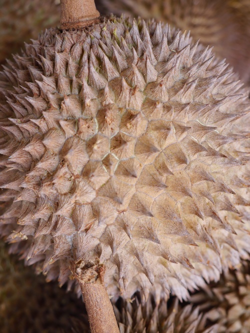 c0209845_1457284.jpg