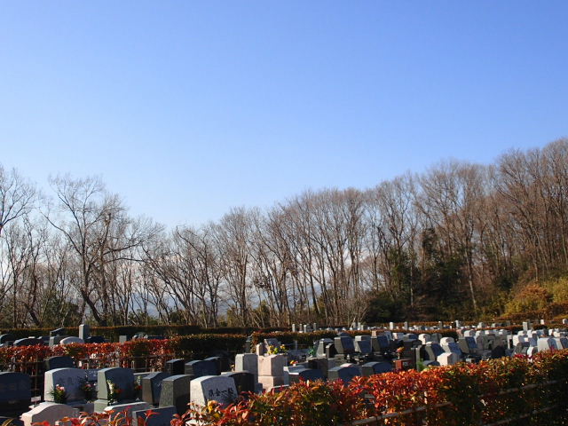 d0063149_22081873.jpg