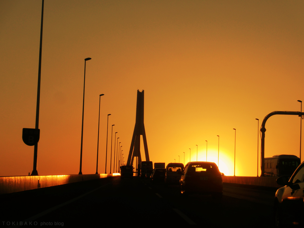 d0100156_23454097.jpg