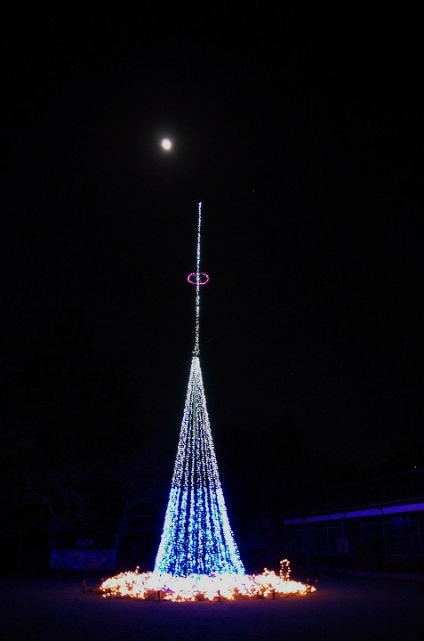 f0303870_2251150.jpg