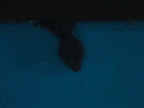 a0002177_12522838.jpg