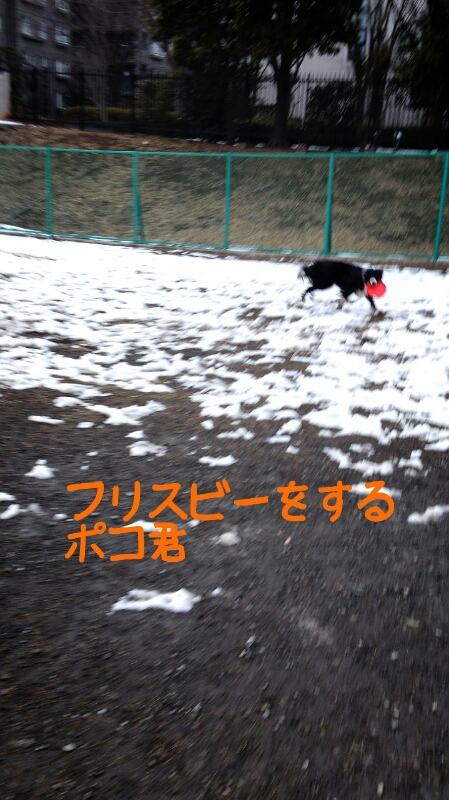 f0230380_2216591.jpg