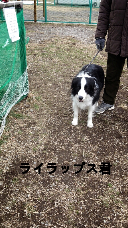 f0230380_22181121.jpg