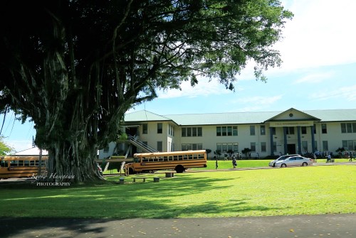 e0148185_10141073.jpg