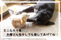 d0282395_13562929.png