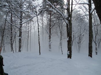 e0122199_16204842.jpg