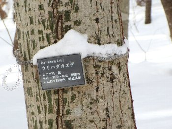 e0122199_16253971.jpg