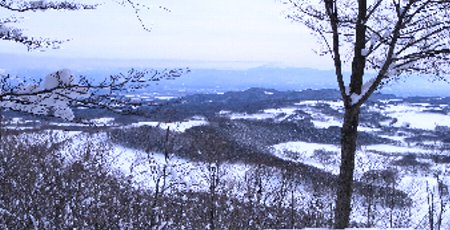e0122199_16255934.jpg