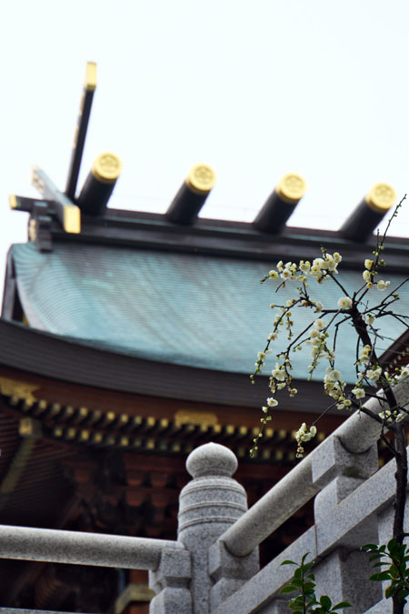 a0263109_1337399.jpg