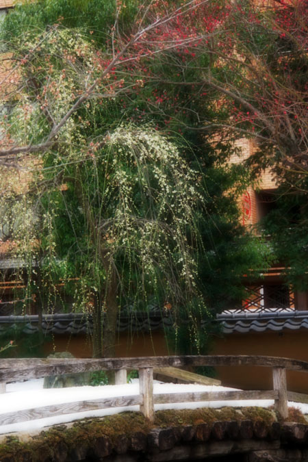 a0263109_13394046.jpg