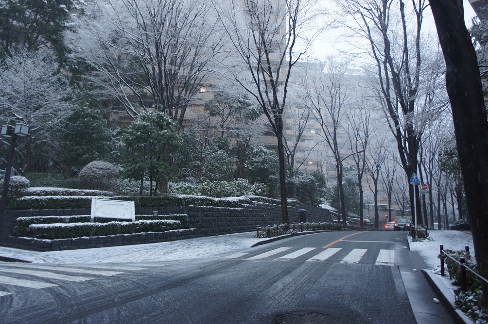 b0112909_1744135.jpg