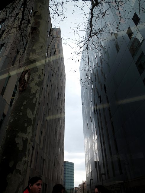 b0064411_21065543.jpg