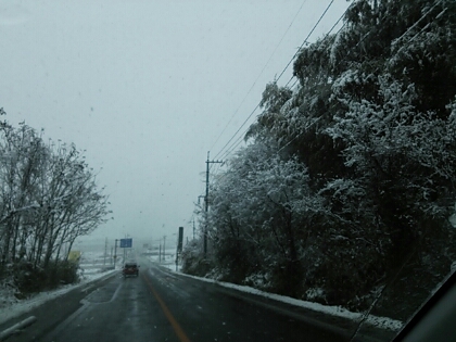 d0030521_1085861.jpg