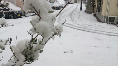 c0147830_928376.jpg