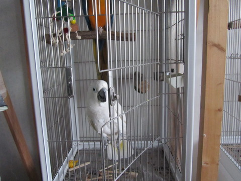 e0107730_21202375.jpg