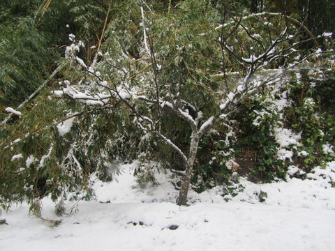 e0107730_21213748.jpg