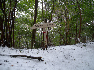 e0272335_20102292.jpg
