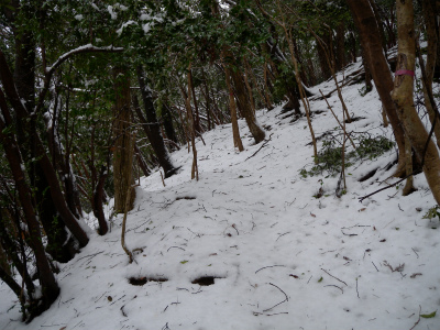 e0272335_20124634.jpg