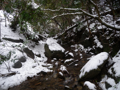 e0272335_20453572.jpg