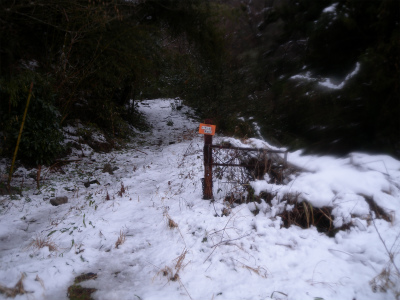 e0272335_2048767.jpg