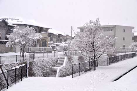 a0100742_11273544.jpg
