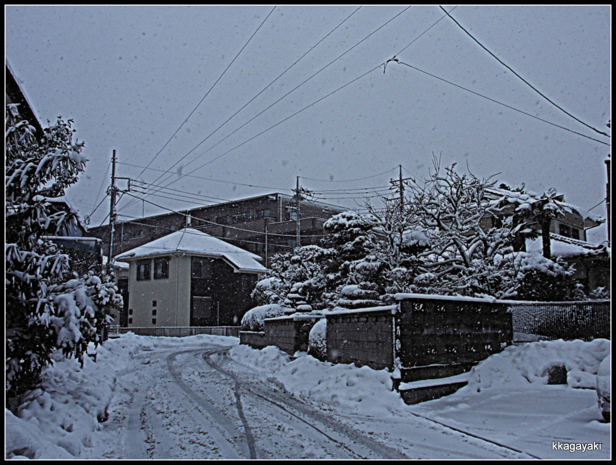 e0206242_21452841.jpg