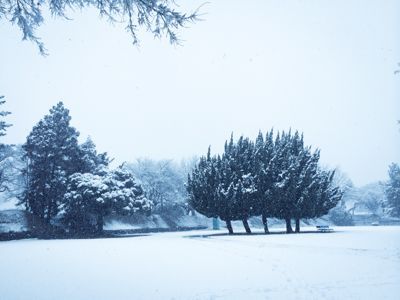 d0021649_2031963.jpg