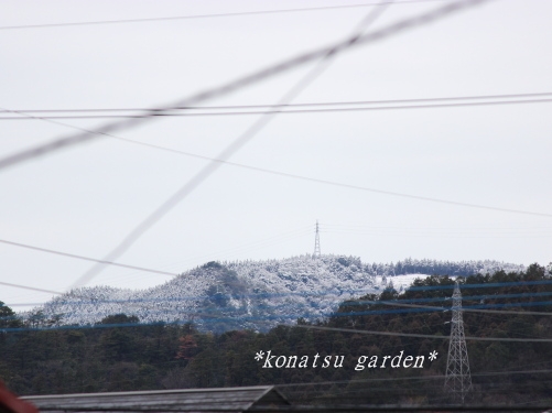 c0175756_9295776.jpg