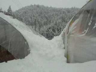 b0130170_1743183.jpg