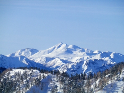 f0182173_1303558.jpg