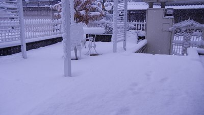c0026781_15464380.jpg