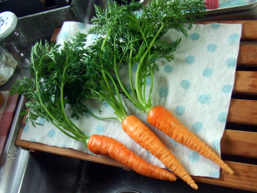 c0051781_21361779.jpg
