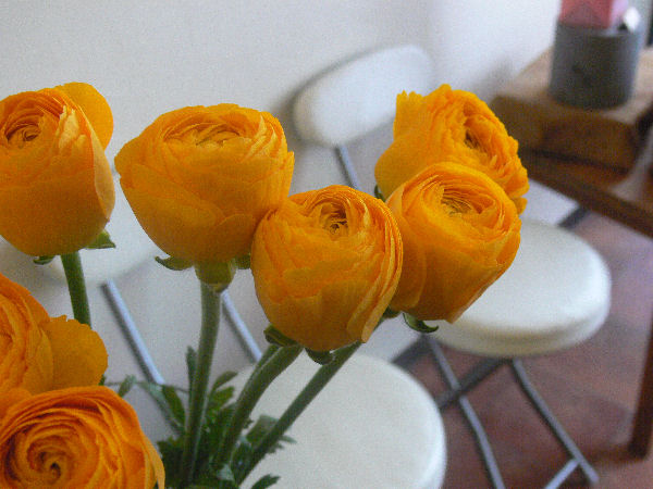 e0140986_1448196.jpg