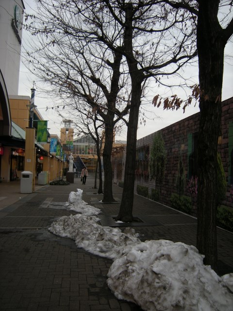 f0063887_1135254.jpg