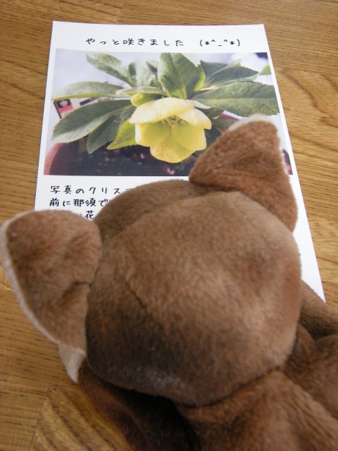 f0063887_1241051.jpg