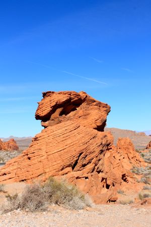 f0245389_1085584.jpg