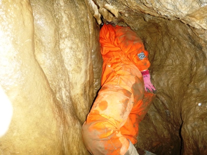 e0077899_9052.jpg