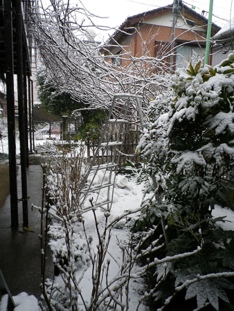 f0239100_11224930.jpg
